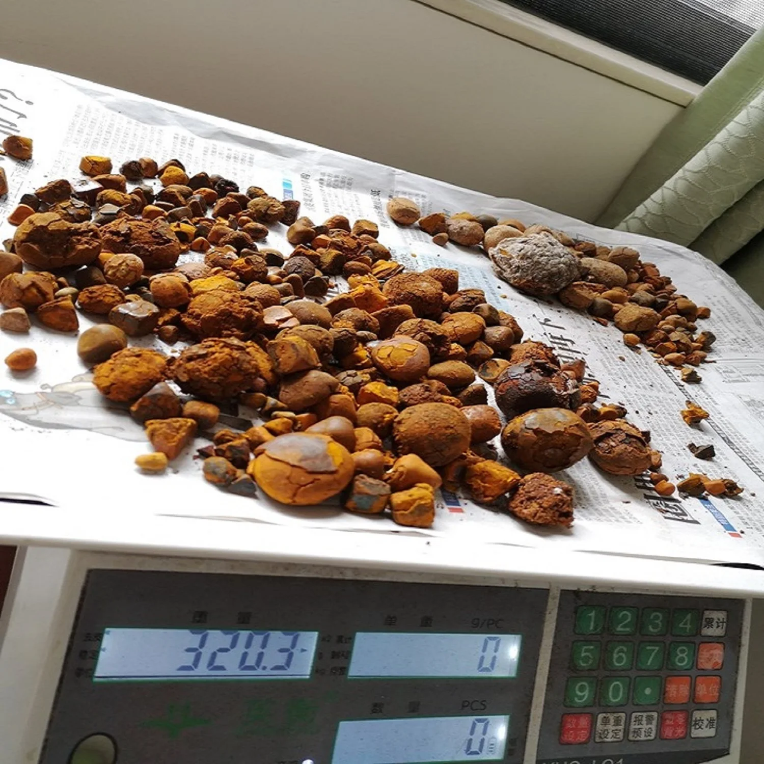 Quality Dried Cow Ox Gallstones / Cattle gallstones