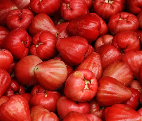 Fruit of syzygium aqueum - Bell fruit small sweet taste eaten fresh with high quality