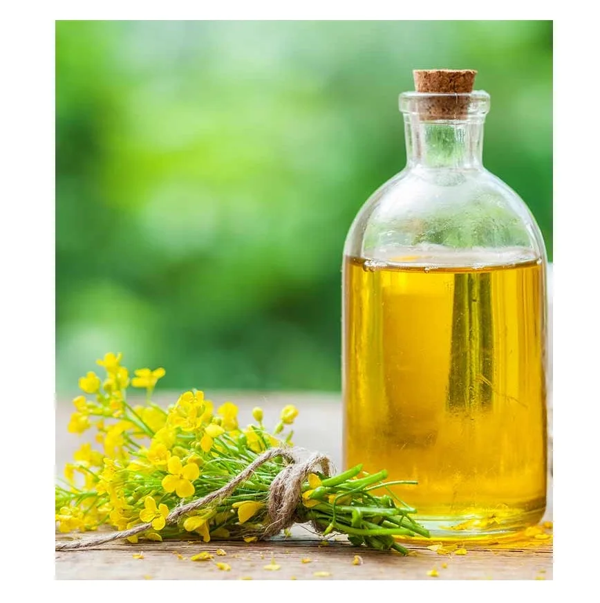 Oil Rapeseed Wholesale Plant Cooking Oil ISO Kosher HALAL Certified Organic Rapeseed Cold Pressed Oil