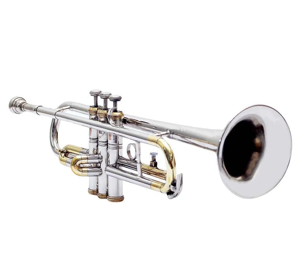 Good Quality Famous Trumpet Inexpensive Trumpet Style Factory Price Trumpet at Best Price from Indian Expoter