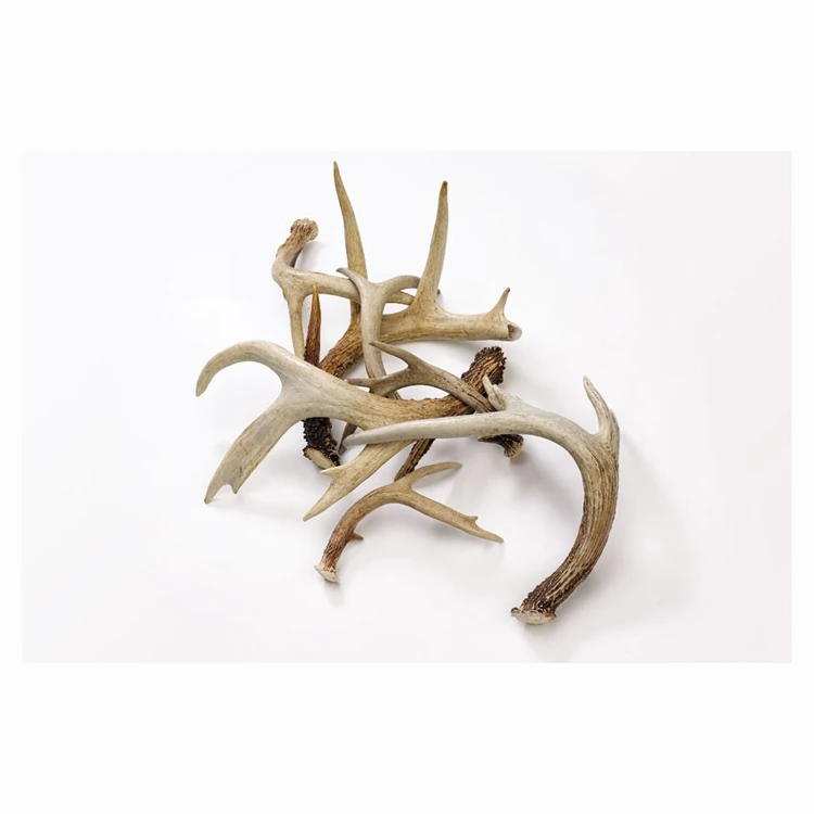Natural Whole Red Deer Antlers