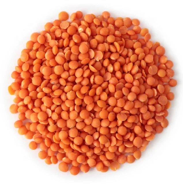 Оптовая цена красная чечевица целая и