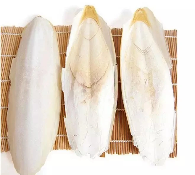 Цепота сепия косточка корм для рыб птиц особенности применения овальной формы органический домашних животных кости