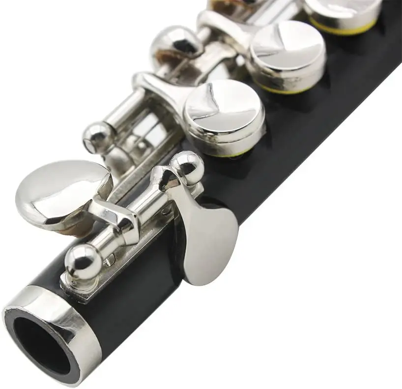 Black Resin Key of C Piccolo with Nickel Plated Keys with Case,Half-size Flute