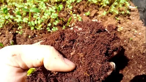 Peat Pellet Seed Starting Plugs Seeds Starter Pallet Nutrient Soil Block Garden Tools Seedling Soil Block Space Discount Room