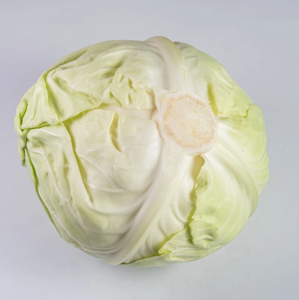 Wholesale Fresh Cabbage Good Quality Vietnamese Origin Variety Vegetables Dried Cabbage Fresh White Cabbage