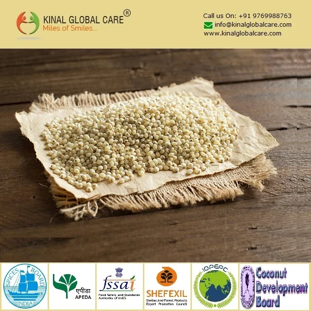 Sorghum White Milo Sorghum Grains Sorghum Price Per Ton for wholesale supply at Affordable Price