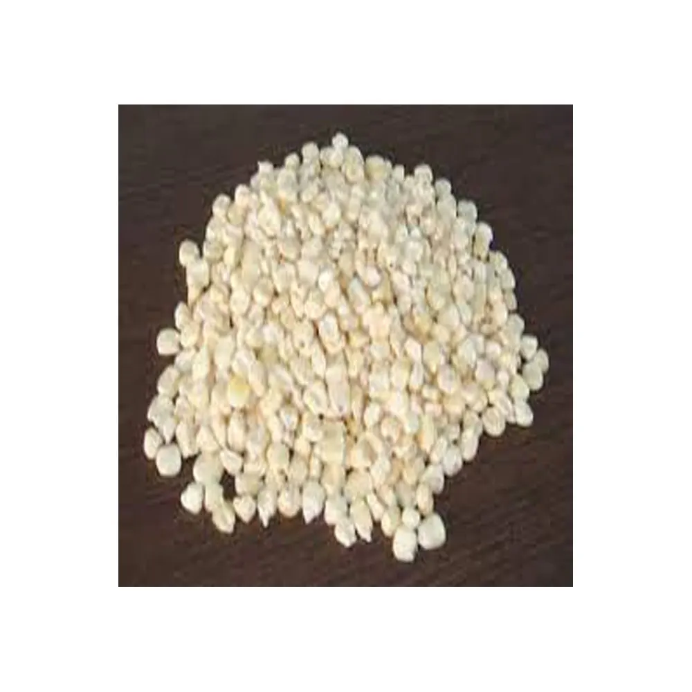 Buy White Maize White Corn For Human Consumption Non Gmo White Corn For Animal Feed