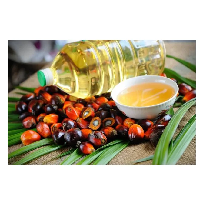 Cheap Wholesale Top Quality RBD Palm Olein - Crude Palm Oil 100% Refined Oil In Bulk