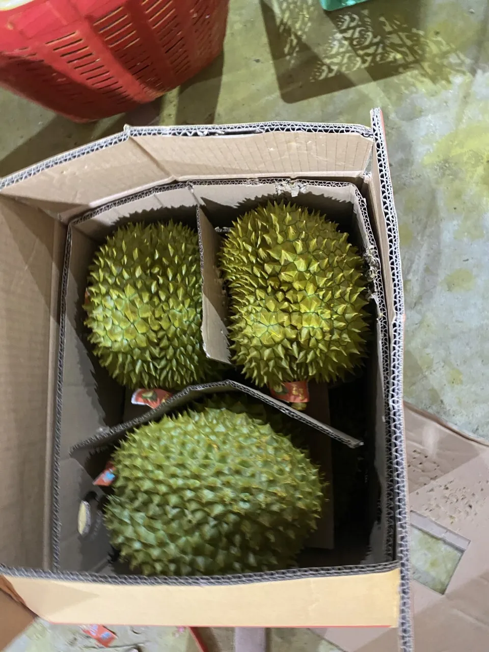 VietNam Packing Box 6-9 Fruist Fast Delivery Best Premium Quality Ri6 Thai 1 Durian Fresh Delicious Export VietNam Manufacture