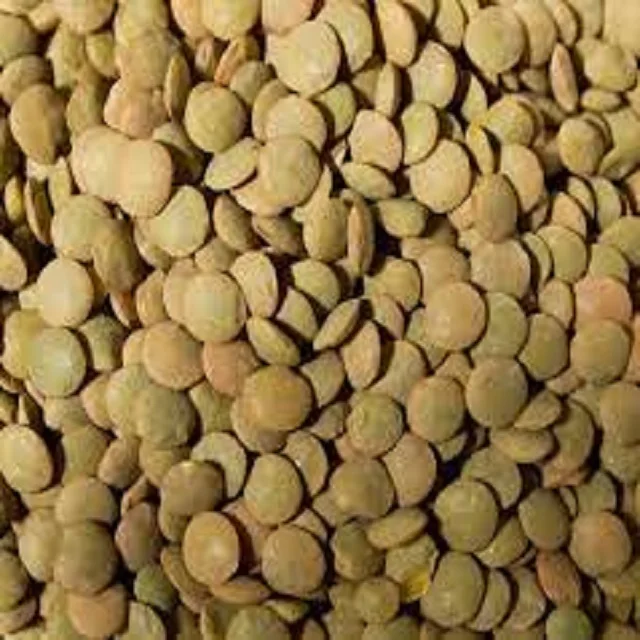 Cheap Sales Organic Bulk Dried Red Green Yellow Lentils From the UK Fresh Whole Pattern for Food