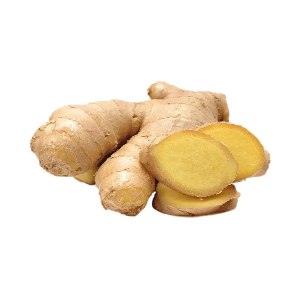 High Quality Competitive Price Fresh Elephant Ginger From Vietnam 2023 Fresh Ginger Export