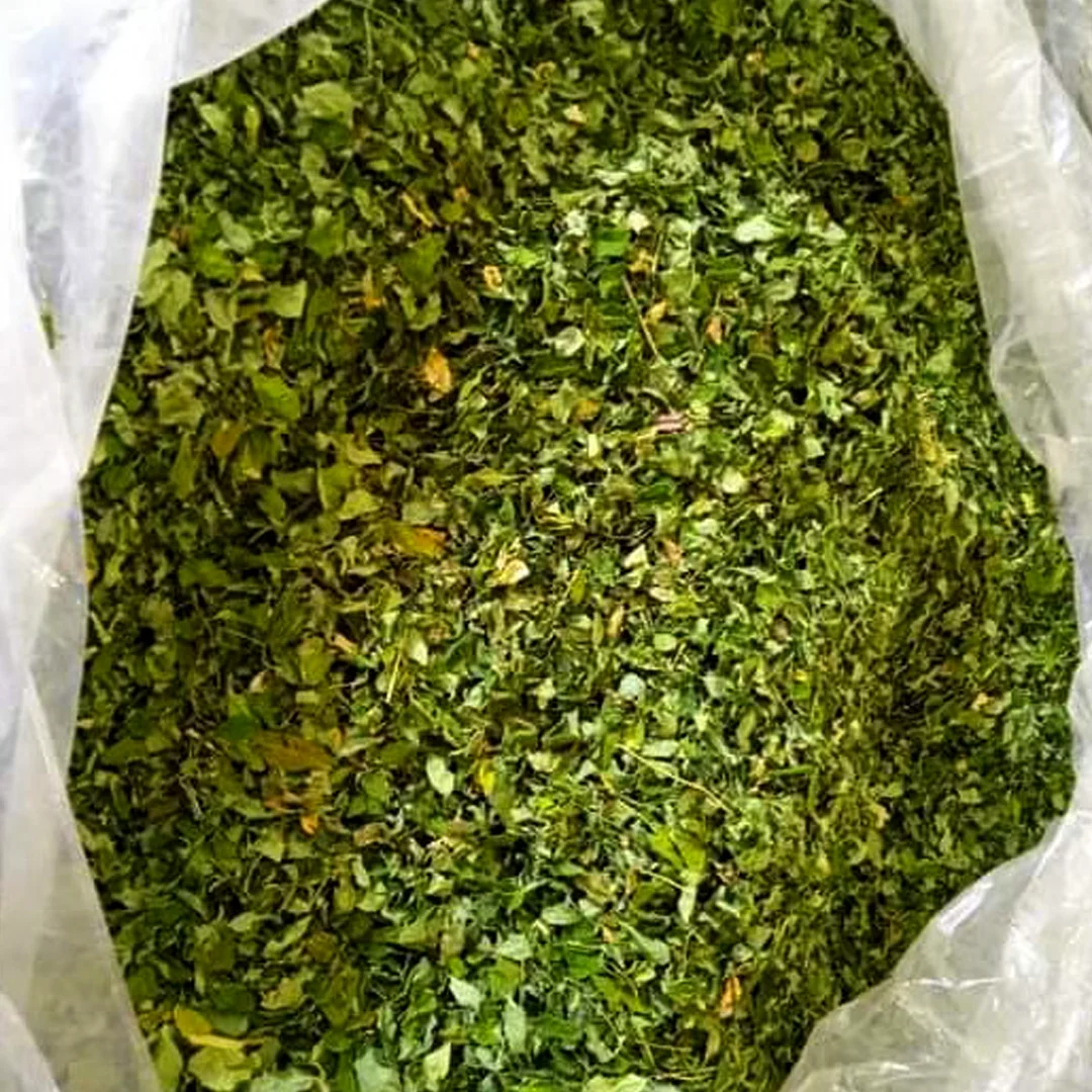 Natural Leaves Moringa Oleifera Leaf Extract Powder High Quality Freshly Moringa Leaf OEM Private Label