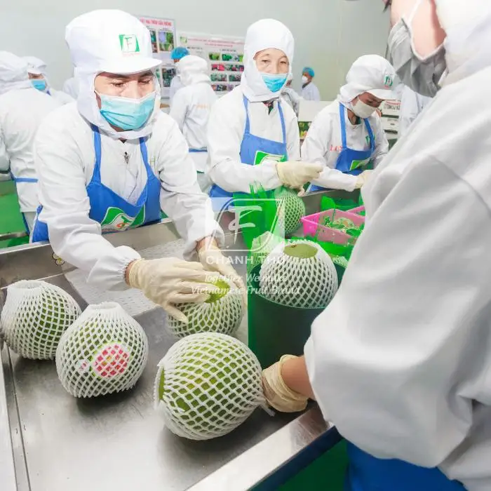 Red Honey Pomelo Red Honey Pomelo