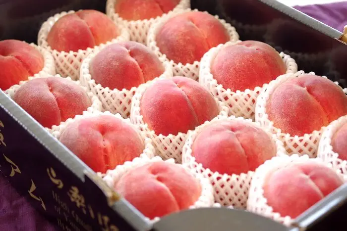 Premium Ichinomiya Fresh Peach Bulk