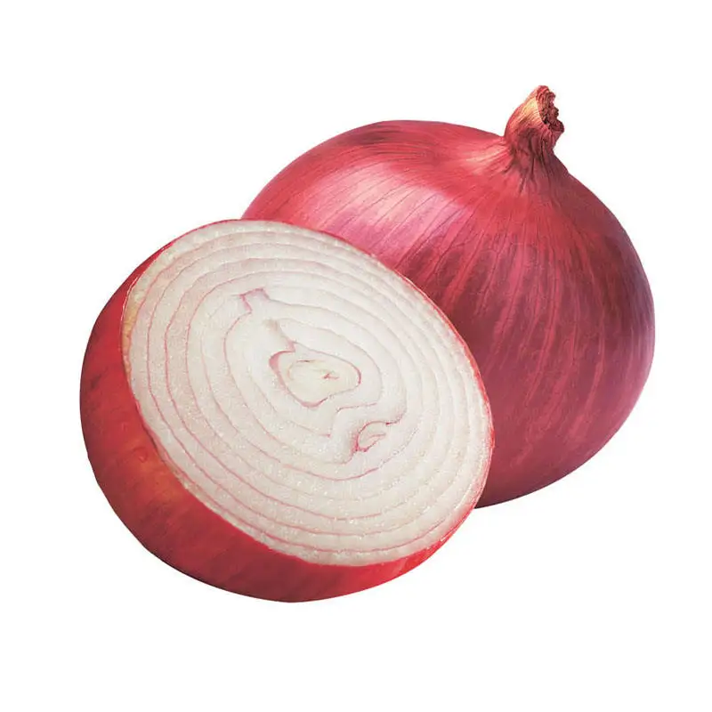 Wholesale Fresh oignons Shallot Peeled Onion Red Yellow White Organic Onion