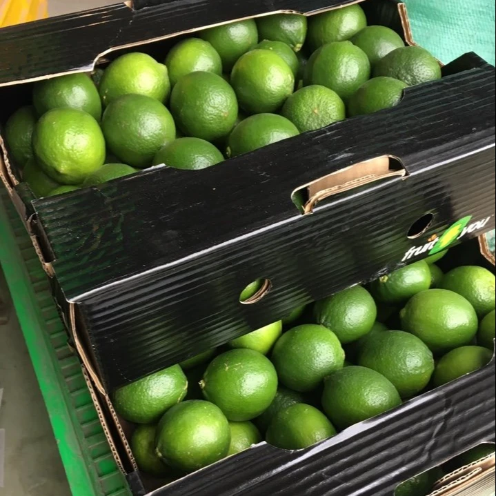 FRESH green LIME  BEST PRICE from Vietnam, call  +84963818434 whatsapp