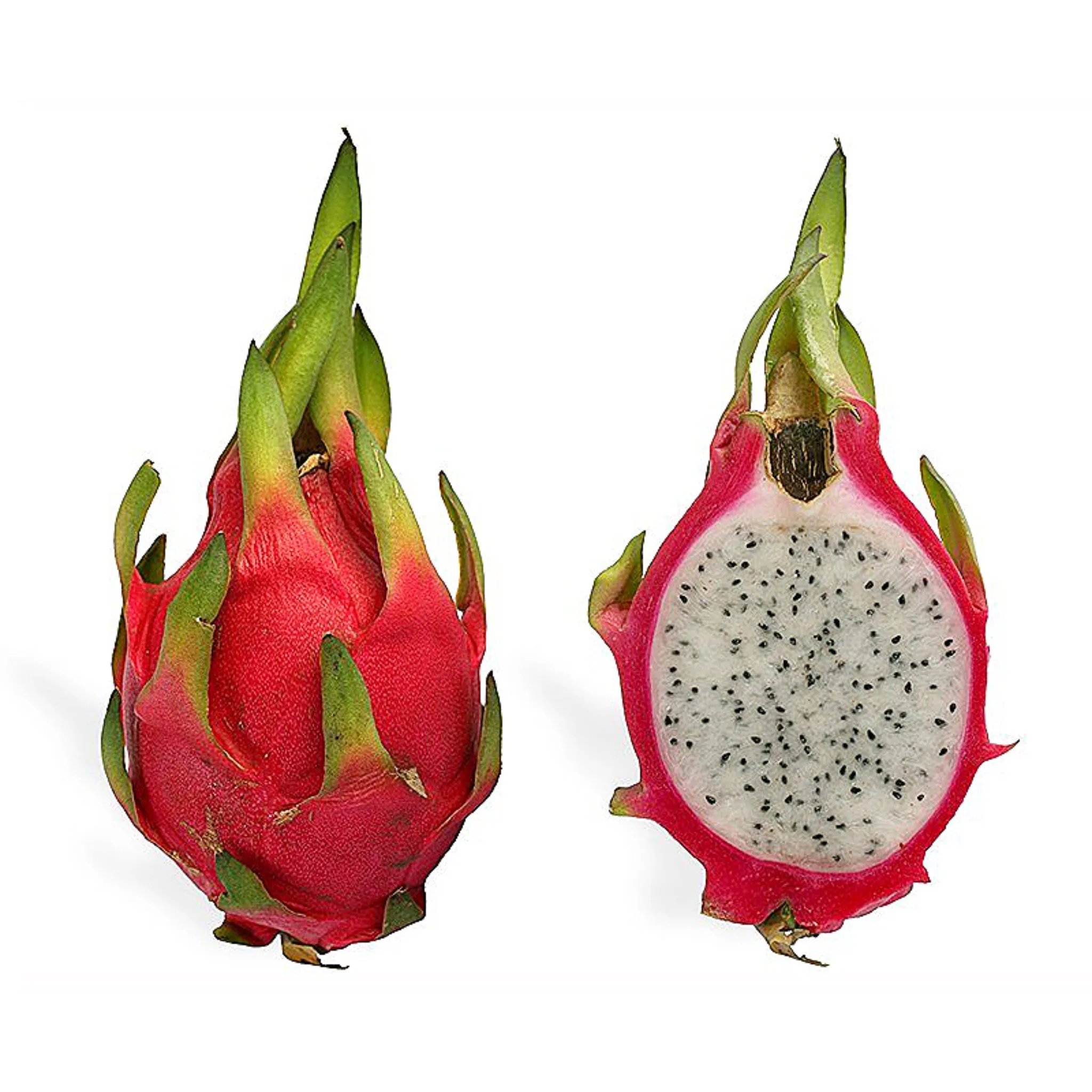 FRESH RED & WHITE DRAGON FRUITS IN VARIOUS QUALITY SIZES IN CARTON 6KG 9KG COMPETITIVE PRICE HIGH QUALITY ELYSIA WA +84789310321