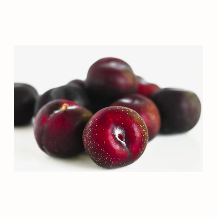 Fresh Tomatoes New Season Delicious High Quality Red Tomato From Cheap SaleHigh-Quality Fresh Red Tomato for Export