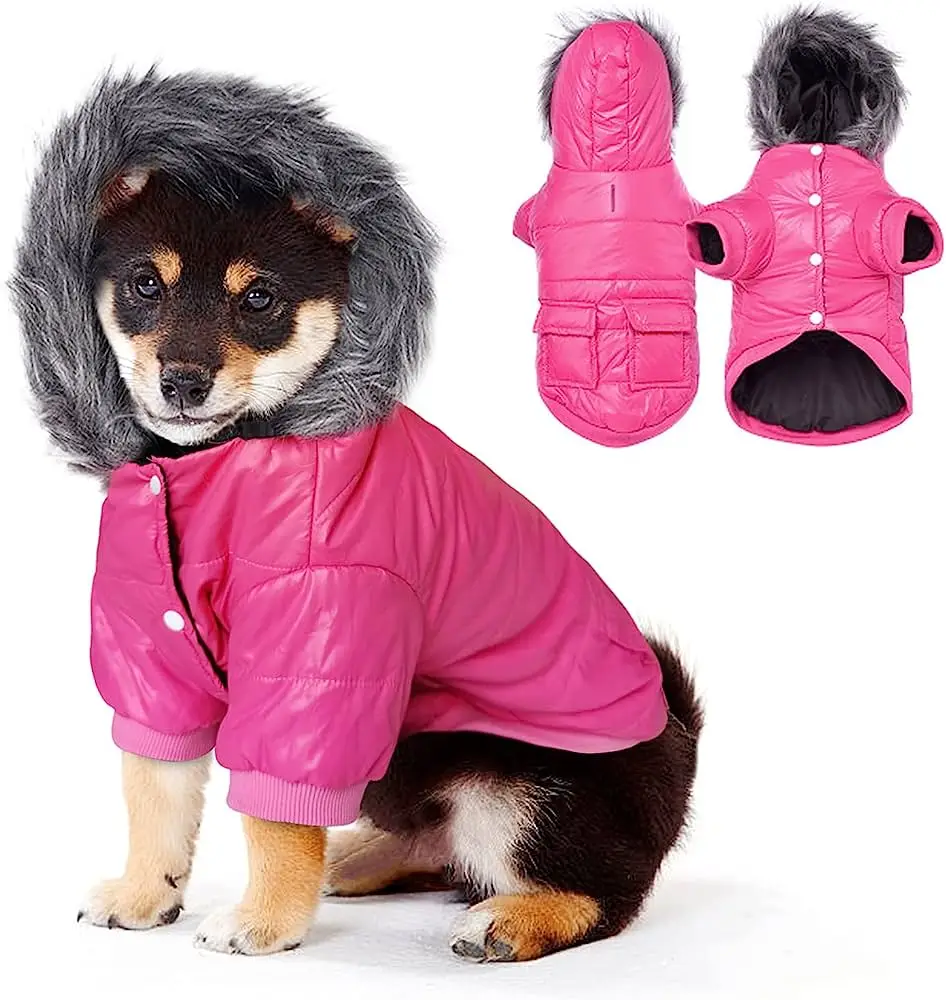 Pet Clothes Cat Dog Lion Hoodie Costume Simulation Lion Pet Cosplay Costume for Party