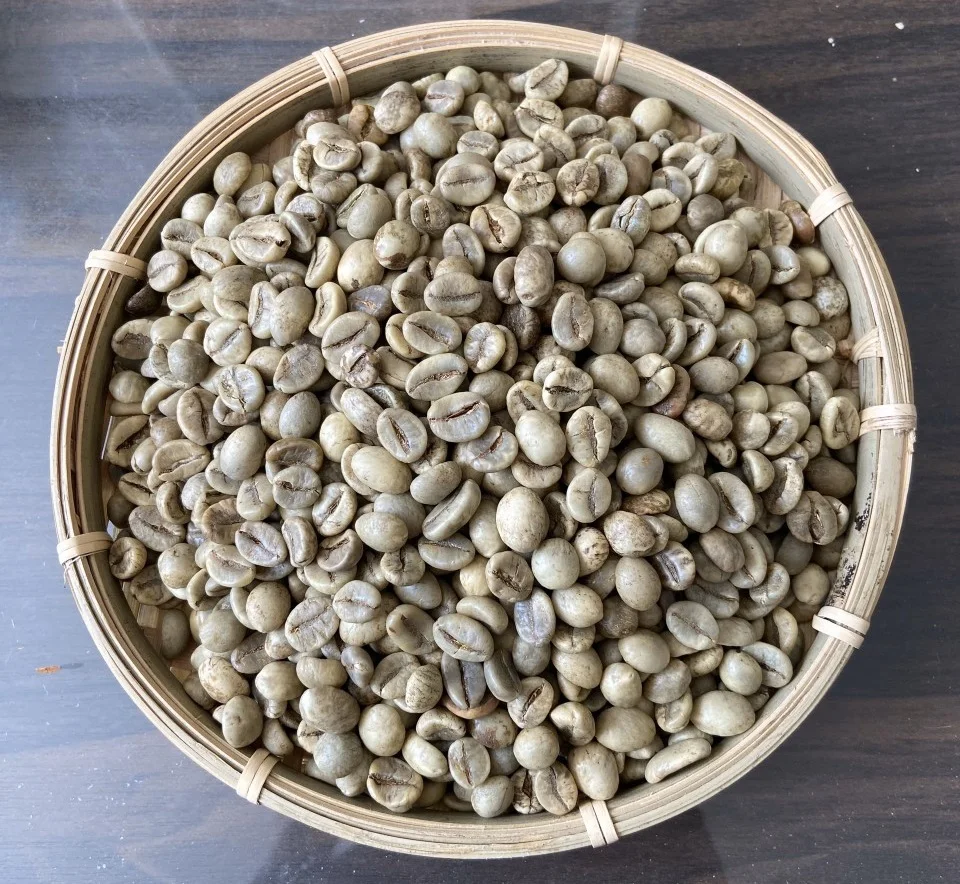 ROBUSTA COFFEE SCREEN 18 UNWASHED / CLEAN/ WET POLISHED S13-S16-S18 High Quality Coffee Beans Wholesale Vietnam