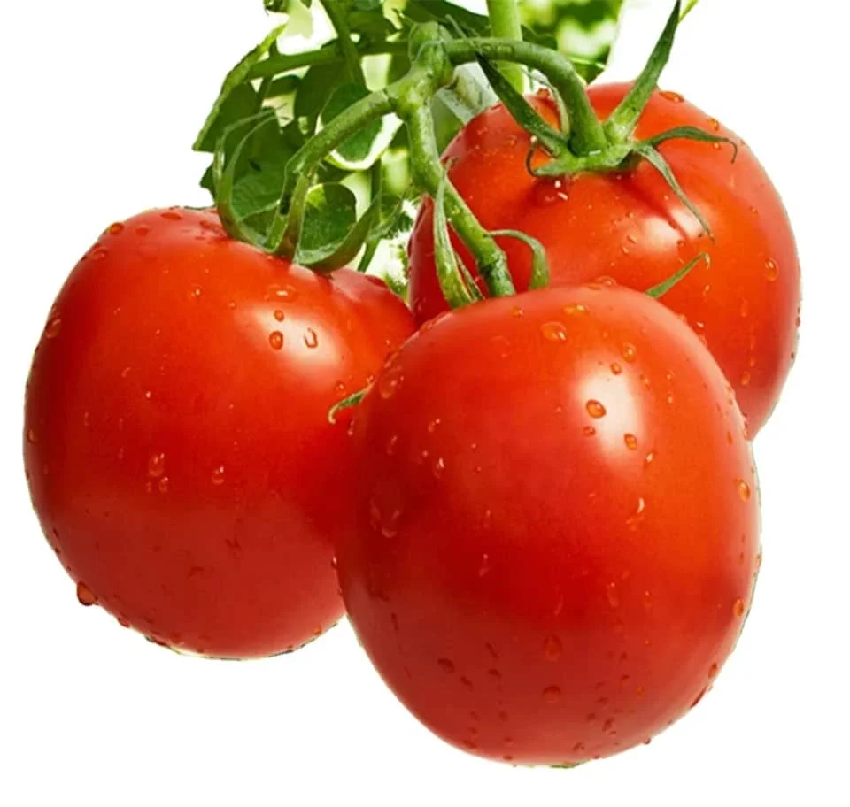 Heathy Delicious Fresh Tomatoes