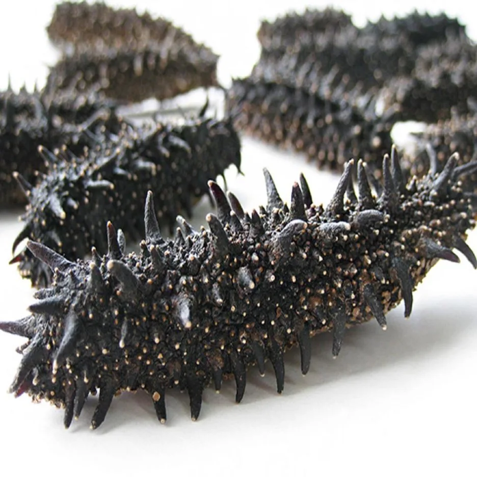 wholesale Dried Donkey Dung Sea Cucumber