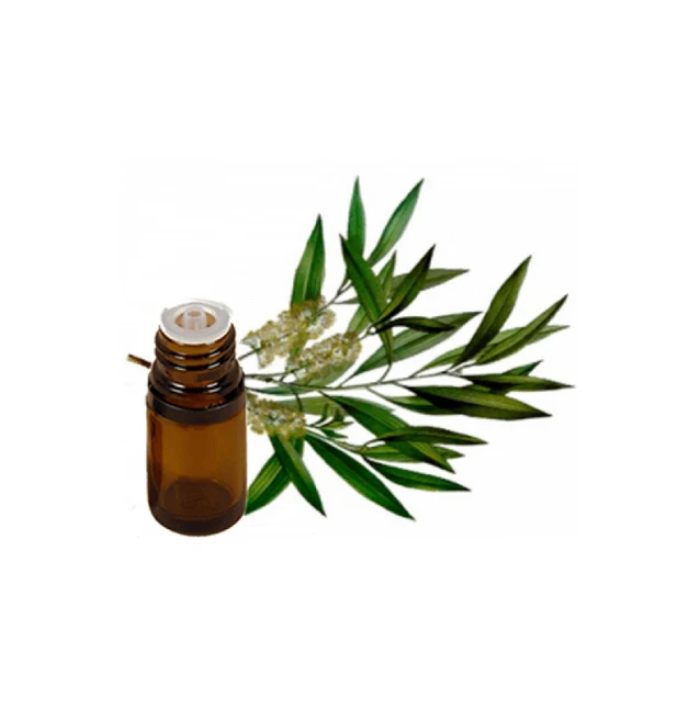 Best Price High Quality Wholesale Supply 100% Pure and Natural Tea Tree Essential Oil from Indian Manufacturer