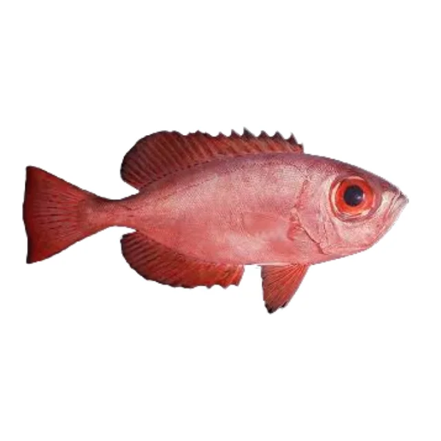 Amazing Sale Global Exporter of Premium in fresh,chilled Glass eye snapper - Heteropriacanthus cruentatus hot selling product