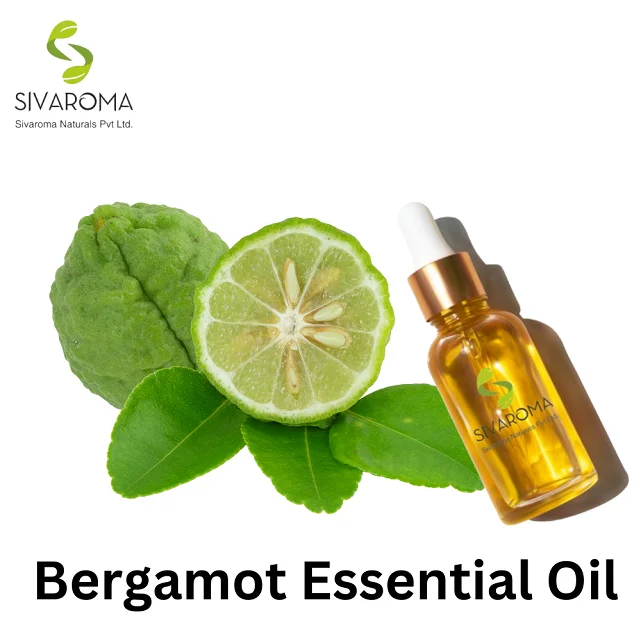 Trusted Manufacturer of India Marketed Best Quality Essential Oil BERGAMOT OIL for Aromatic Aromatherapy of Human Body
