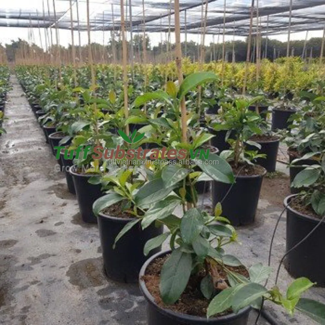 Selling Block Cocopeat Coir Pith For Plants With 550Gr Block High Quality in size 18*18*20cm good expan from Tuff Vietnam Low EC