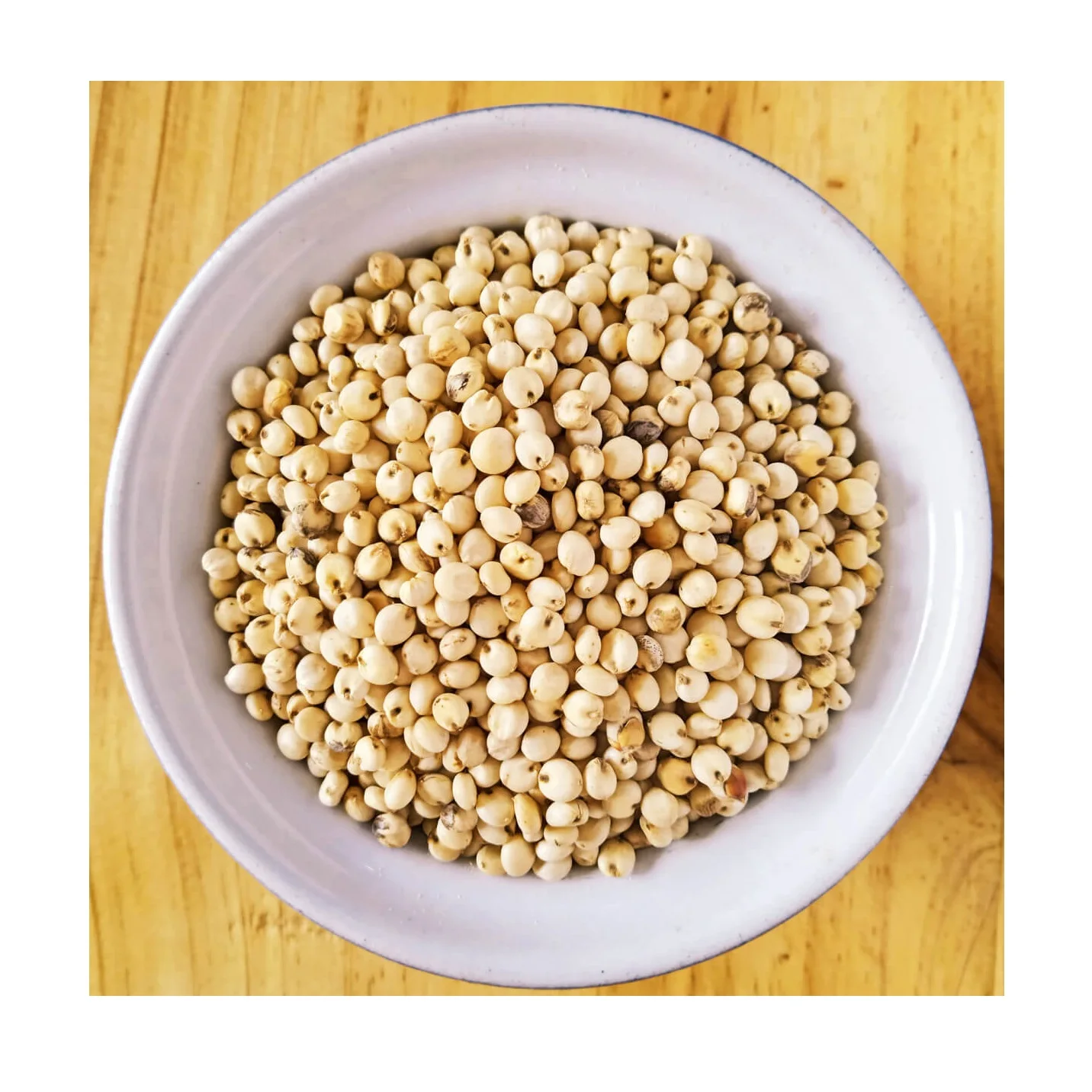 White Milo Sorghum Grains Sorghum Price Per Ton Grain sorghum best quality looking for bulk buyer