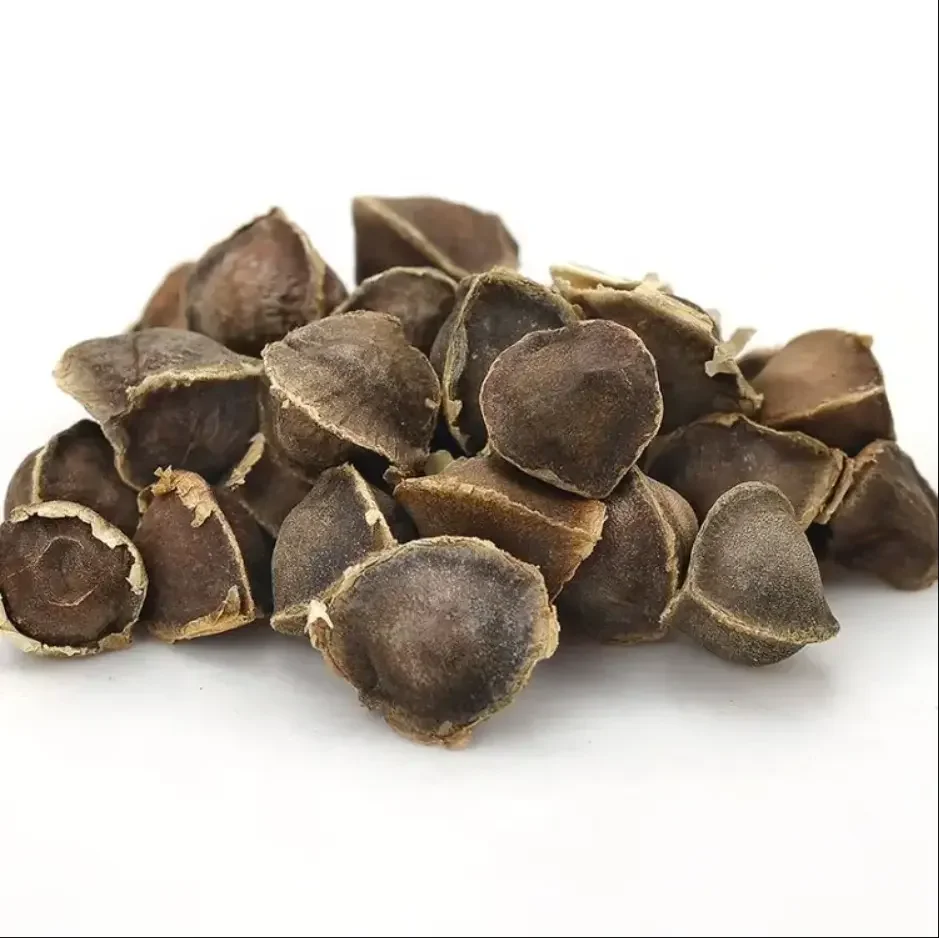 Семена Moringa oleifera/семена moringa лучшие цены на продажу