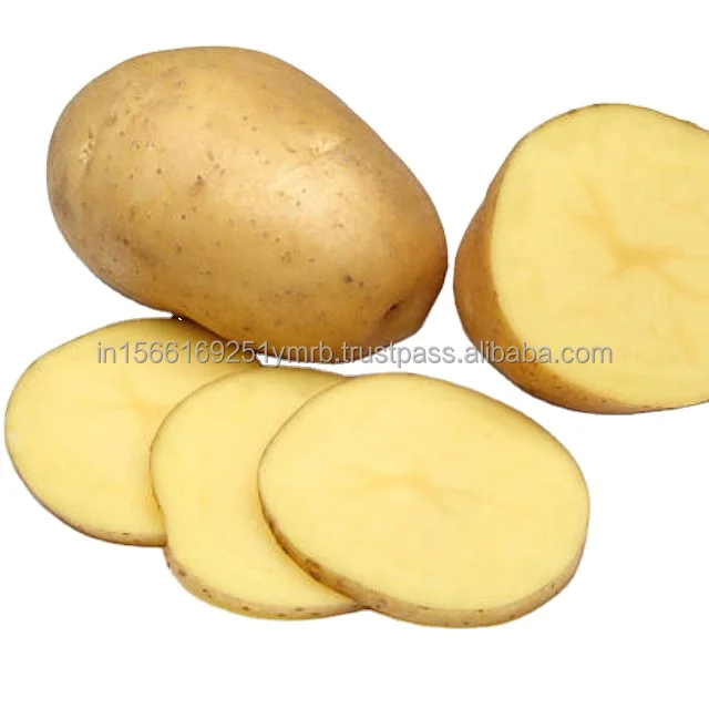 Affordable price and high quality fresh potato best seller fresh potato with hot price
