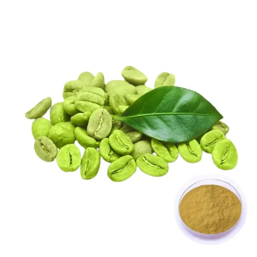 Hot Sell 2022 Fully Organic Green Coffee Bean Extract Chlorogenic Acid 50% For Weight Loss Uses Wholesale Prices