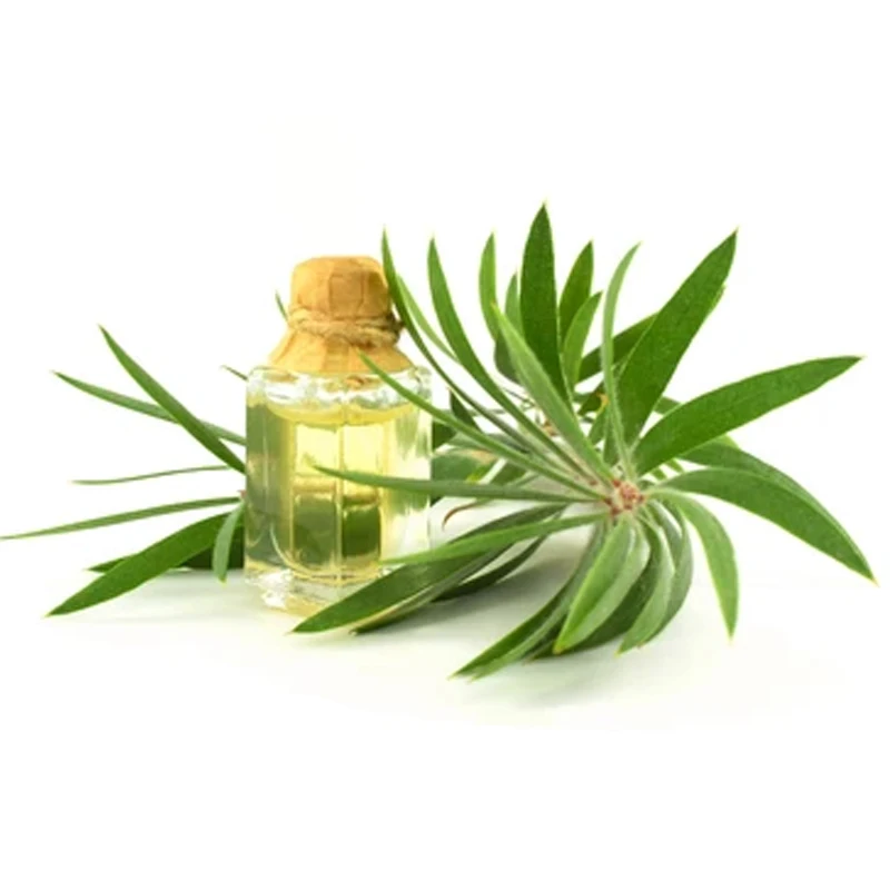 Premium Quality Tea Tree Essential Oil For Skin Natural Aroma Oil Pure Organic Massage Essential Oils