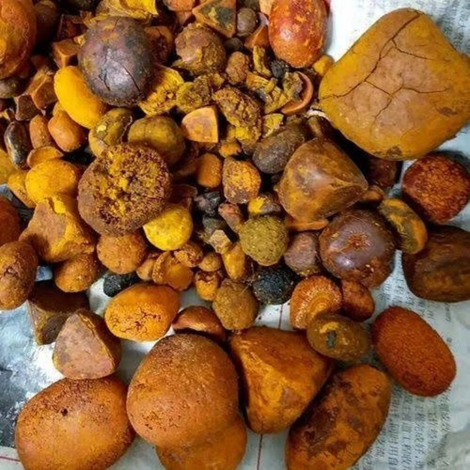 Export 100% Natural Top Quality Ox Gallstones Cattle Gallstones Cow Gallstones for Sale