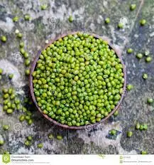 Green Mung Bean Grade  Green Mung Bean