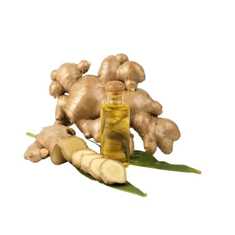 Hot Selling Customized Label High Quality OEM Bulk Supply Natural 100% Pure Ginger Essential Oil from India