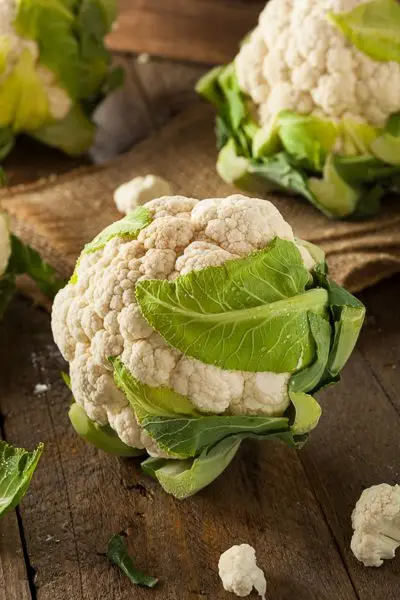High Quality Fresh Cauliflower Fresh vegetables Export Agriculture Cultivation Natural Chinese Food Tom Yam