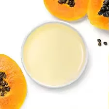 Hot Selling Papaya Seed Oil with Pure Natural Grade Bulk Suppliers Papaya Seed Oil For Sale By Indian Exporters