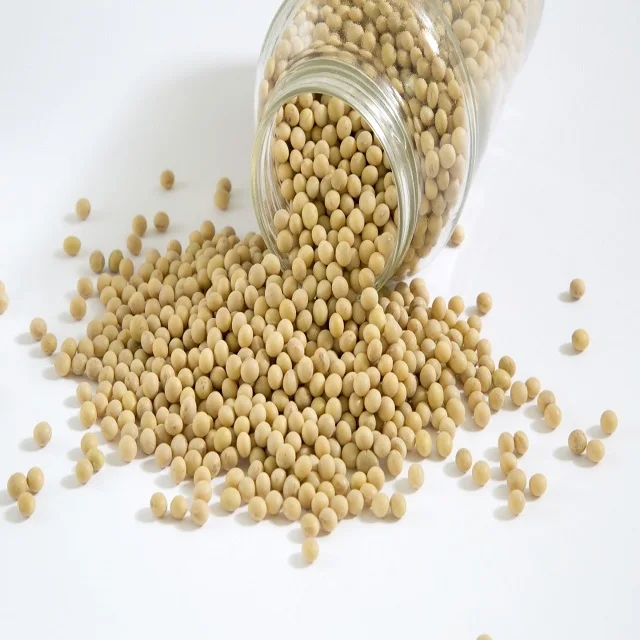 Factory Wholesale Organic Soybeans Non Gmo Soy Top Grade Yellow Soybeans
