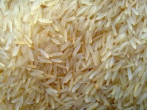 Best Selling Fully Organic 1121 Basmati Sella Rice Top Grade For Food Purpose Uses Manufacture in India For Sale
