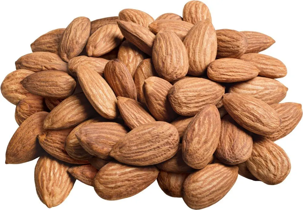 8 Almonds.jpg