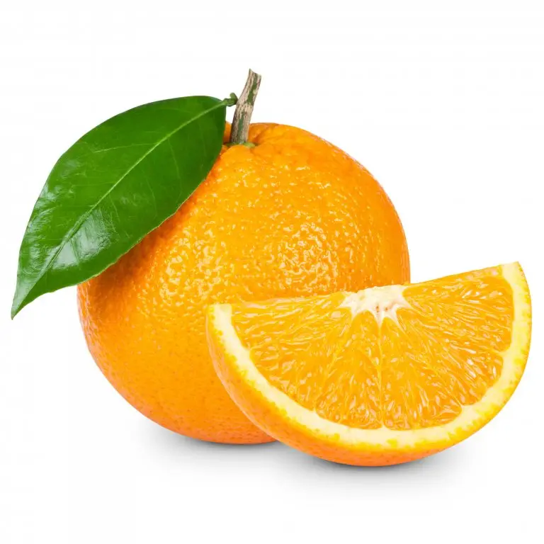 Fresh Navel Valencia oranges , Citrus from Egypt