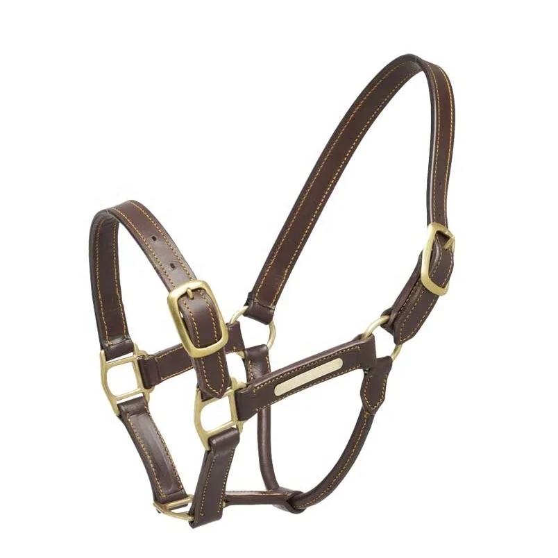 High Quality Outdoor Sports Horse Riding Equipment Adjustable Horse Halter Horse Bridle New Nylon Head Collar