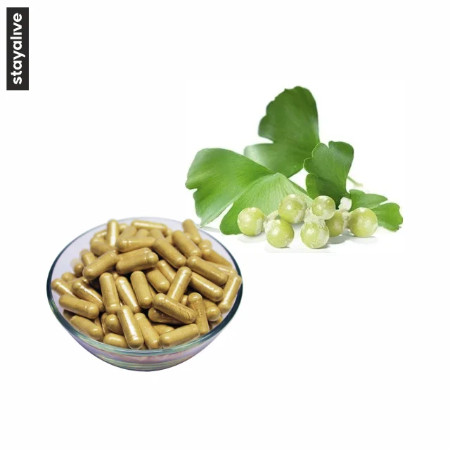 Superior Quality Bulk Herbal Supplement Ginkgo Biloba Extract Capsules Support Brain Wellness Supplier From India