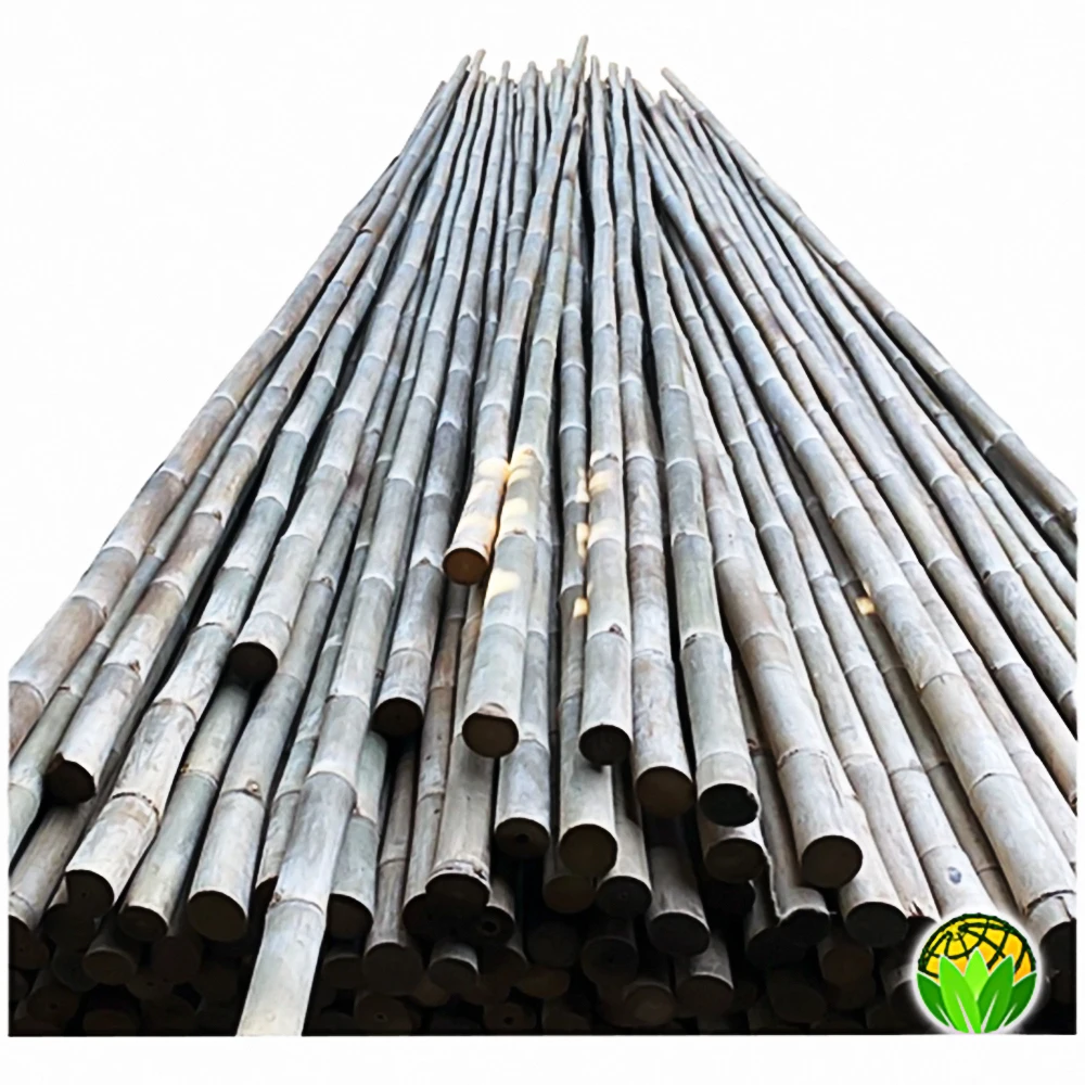 Bamboo Cane with Cheap Price, Moso Bamboo Poles Custom Service Natural Bamboo For Decor And Construction.
