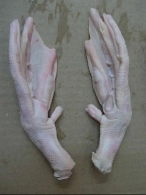 Leg Quarter Halal Frozen Duck for Sale Top Quality Halal Frozen Duck Leg Quarters Clean