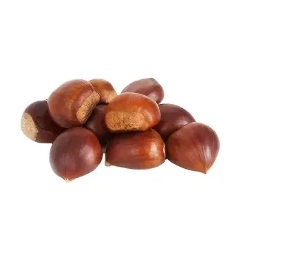 Factory Direct Supplier Delicious  Fresh Raw Organic Chestnuts